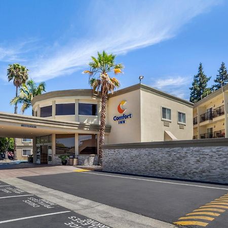 Comfort Inn Sunnyvale - Silicon Valley Zewnętrze zdjęcie