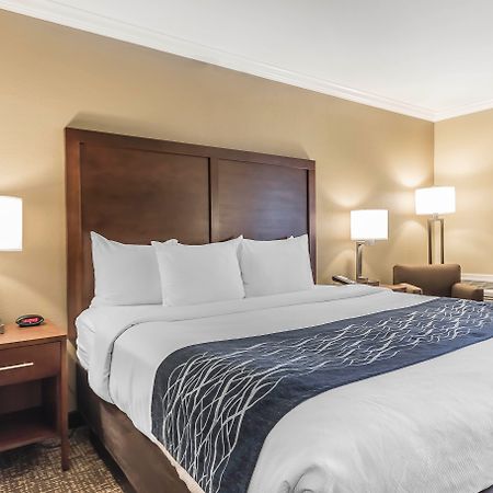 Comfort Inn Sunnyvale - Silicon Valley Zewnętrze zdjęcie