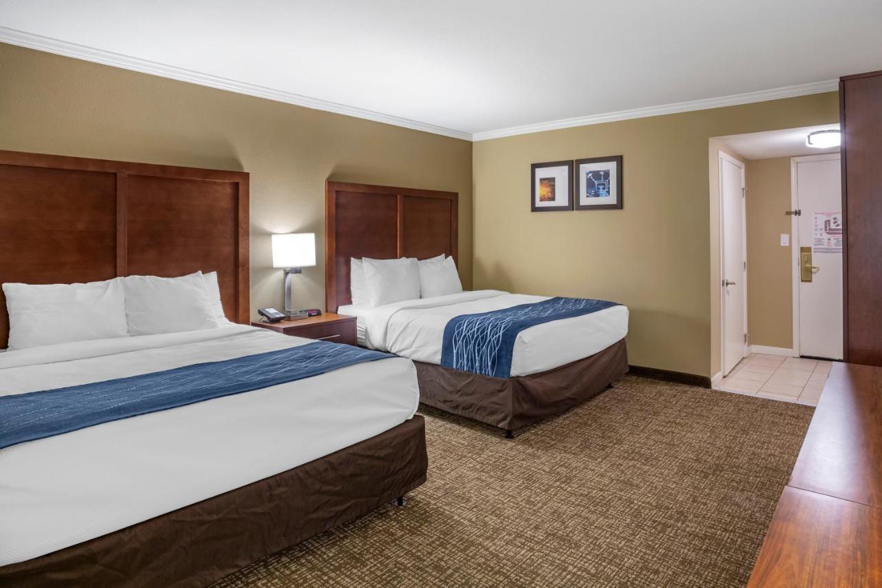 Comfort Inn Sunnyvale - Silicon Valley Zewnętrze zdjęcie